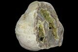 Yellow Crystal Filled Septarian Geode - Utah #97245-2